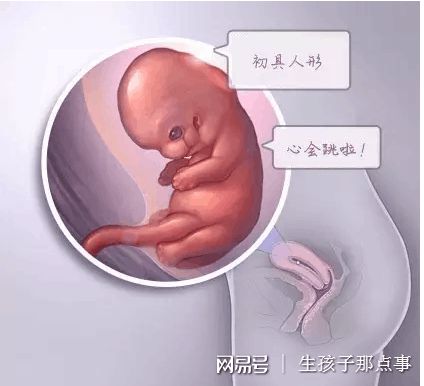 代生选性别包男孩生殖中心